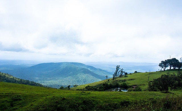 至欧洲足坛 至欧洲足坛