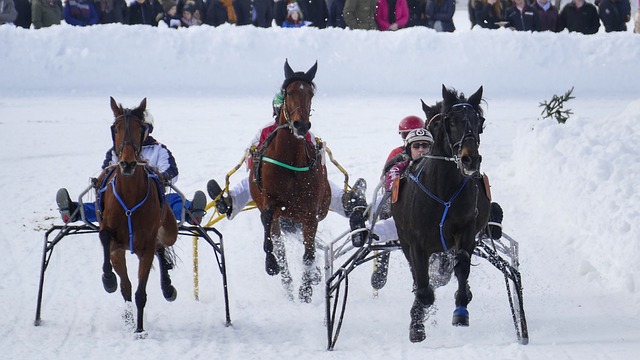 帕特里克 帕特里克